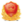 w66(й)_콢